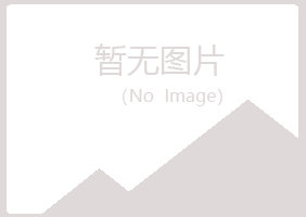 偃师慕青计算机有限公司